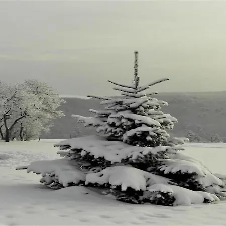 בית נופש Auf Dem Campingpark Waxweiler