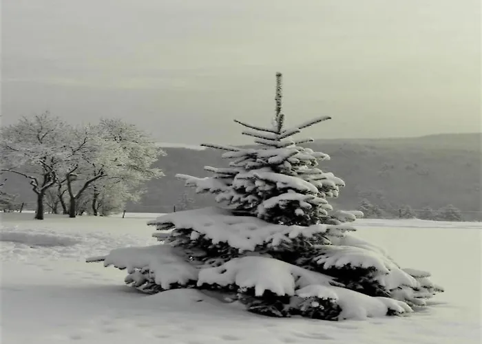 בית נופש Auf Dem Campingpark Waxweiler